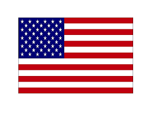 US Cars